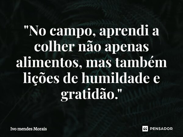 ⁠"No campo, aprendi a colher não apenas alimentos, mas também lições de humildade e gratidão."... Frase de Ivo Mendes Morais.