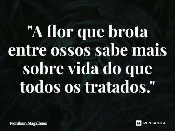 ⁠"A flor que brota entre ossos sabe mais sobre vida do que todos os tratados."... Frase de Ivonilson Magalhães.