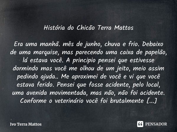 ⁠História do Chicão Terra Mattos
Era uma manhã. mês de junho, chuva e frio. Debaixo de uma marquise, mas parecendo uma caixa de papelão, lá estava você. A princ... Frase de Ivo Terra Mattos.