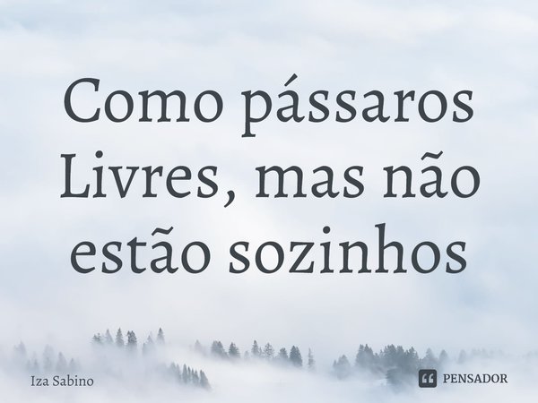 ⁠Como pássaros
Livres, mas não estão sozinhos... Frase de Iza Sabino.