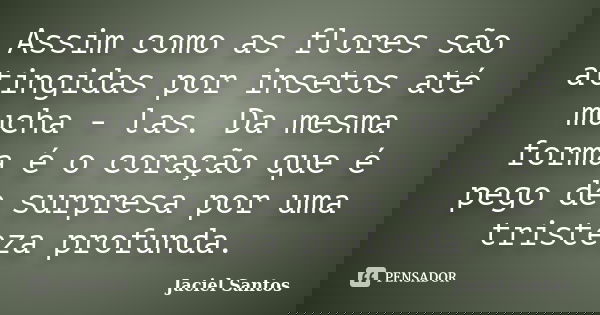 Assim como as flores são atingidas por insetos até mucha - las. Da mesma forma é o coração que é pego de surpresa por uma tristeza profunda.... Frase de Jaciel Santos.