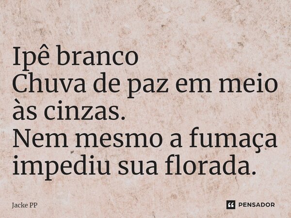 ⁠Ipê branco Chuva de paz em meio às cinzas. Nem mesmo a fumaça impediu sua florada.... Frase de Jacke PP.