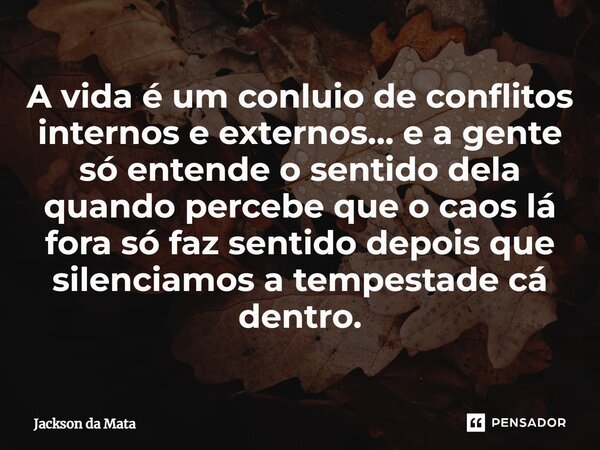 ⁠A vida é um conluio de conflitos internos e externos… e a gente só entende o sentido dela quando percebe que o caos lá fora só faz sentido depois que silenciam... Frase de Jackson da Mata.