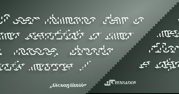 O ser humano tem o mesmo sentido a uma flor, nasce, brota e depois morre !... Frase de JacsonJunior.