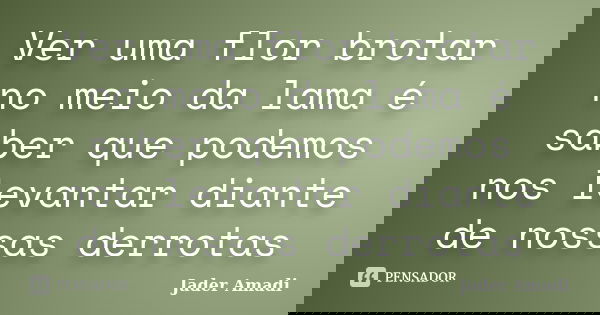 Ver uma flor brotar no meio da lama é saber que podemos nos levantar diante de nossas derrotas... Frase de Jader Amadi.