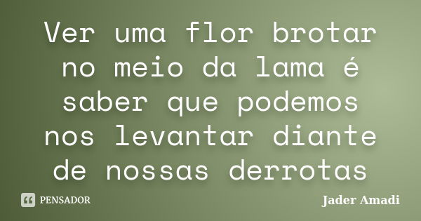 Ver uma flor brotar no meio da lama é saber que podemos nos levantar diante de nossas derrotas... Frase de Jader Amadi.