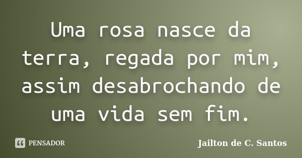 Uma rosa nasce da terra, regada por mim, assim desabrochando de uma vida sem fim.... Frase de Jailton de C. Santos.