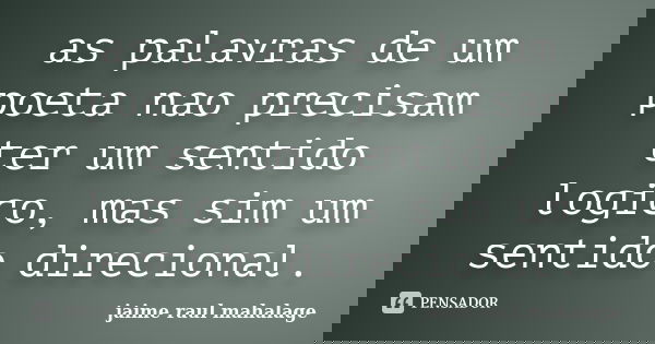 as palavras de um poeta nao precisam ter um sentido logico, mas sim um sentido direcional.... Frase de jaime raul mahalage.