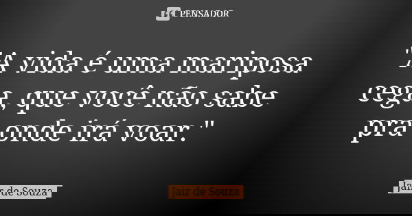 "A vida é uma mariposa cega, que você não sabe pra onde irá voar."... Frase de Jair de Souza.