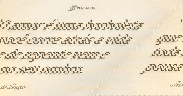 "O amor é uma borboleta que você corre atrás a vida toda e de repente vem e pousa no seu ombro.... Frase de Jair de Souza.