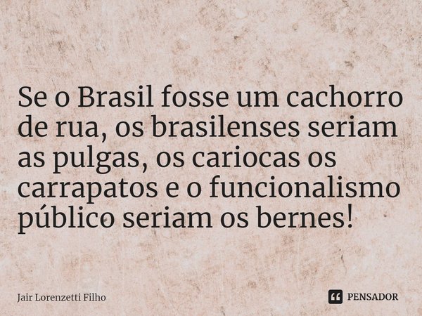 ⁠Se o Brasil fosse um cachorro de rua, os brasilenses seriam as pulgas, os cariocas os carrapatos e o funcionalismo público seriam os bernes!... Frase de Jair Lorenzetti Filho.