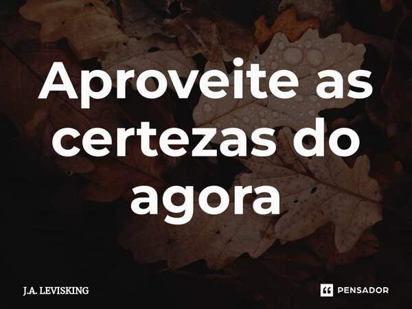 Aproveite as certezas do agora⁠... Frase de J.A. LEVISKING.