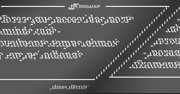 Parece que passei boa parte da minha vida - provavelmente tempo demais - parado, em pé, olhando fixamente.... Frase de James Herriot.