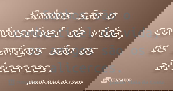 Sonhos são o combustível da vida, os amigos são os alicerces.... Frase de Jamile Maia da Costa.