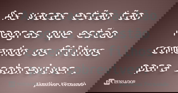 As vacas estão tão magras que estão comendo os filhos para sobreviver.... Frase de Jamilson Fernando.