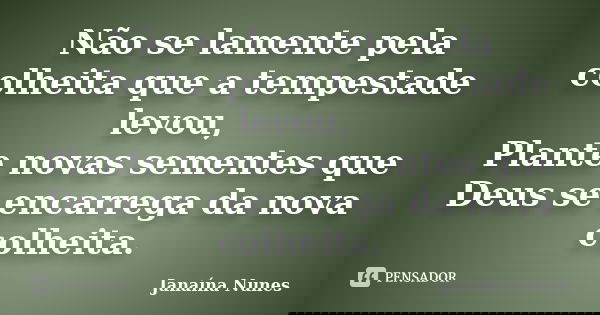 Não se lamente pela colheita que a tempestade levou, Plante novas sementes que Deus se encarrega da nova colheita.... Frase de Janaína Nunes.