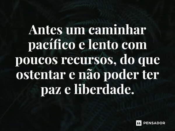 ⁠Antes um caminhar pacífico e lento com poucos recursos, do que ostentar e não poder ter paz e liberdade.... Frase de Jane Silva.