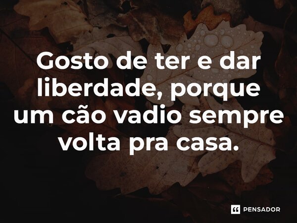 ⁠Gosto de ter e dar liberdade, porque um cão vadio sempre volta pra casa.... Frase de Jane Silva.