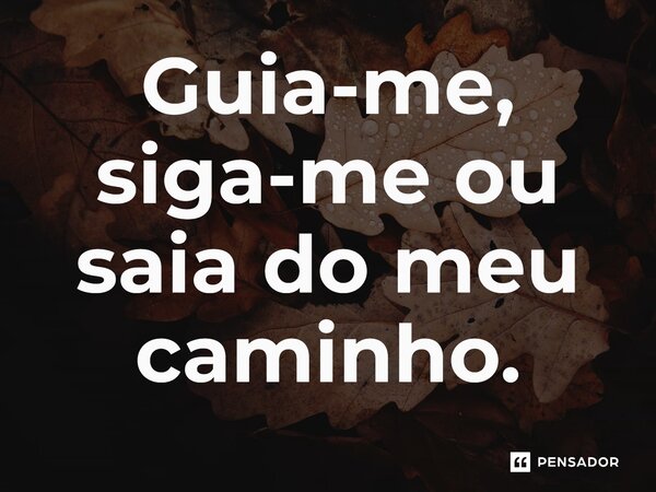 ⁠Guia-me, siga-me ou saia do meu caminho.... Frase de Jane Silva.