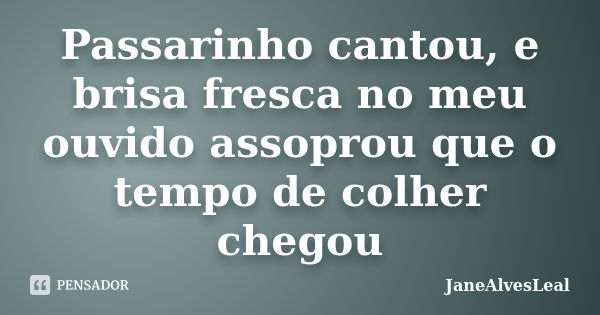 Passarinho cantou, e brisa fresca no meu ouvido assoprou que o tempo de colher chegou... Frase de JaneAlvesLeal.