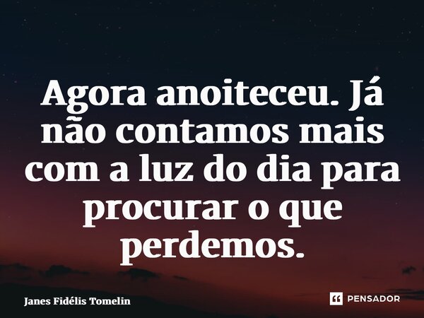 ⁠Agora anoiteceu. Já não contamos mais com a luz do dia para procurar o que perdemos.... Frase de Janes Fidélis Tomelin.
