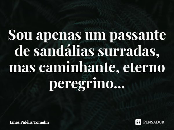 ⁠Sou apenas um passante de sandálias surradas, mas caminhante, eterno peregrino...... Frase de Janes Fidélis Tomelin.