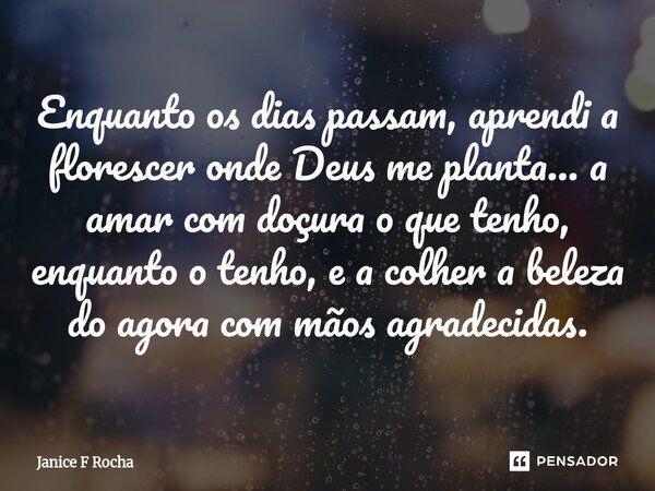 ⁠Enquanto os dias passam, aprendi a florescer onde Deus me planta… a amar com doçura o que tenho, enquanto o tenho, e a colher a beleza do agora com mãos agrade... Frase de Janice F Rocha.