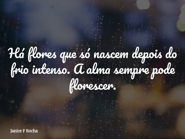 Há flores que só nascem depois do frio intenso. A alma sempre pode florescer.... Frase de Janice F Rocha.