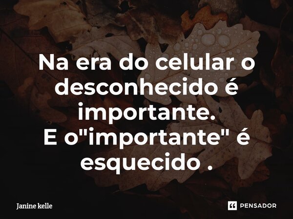 ⁠Na era do celular o desconhecido é importante. E o "importante" é esquecido .... Frase de Janine kelle.