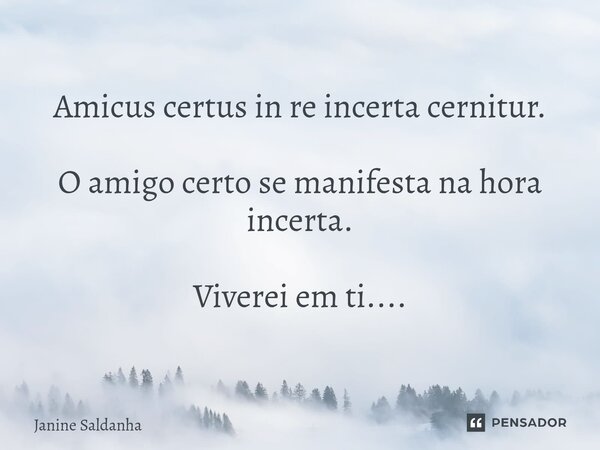 ⁠Amicus certus in re incerta cernitur. O amigo certo se manifesta na hora incerta. Viverei em ti....... Frase de Janine Saldanha.