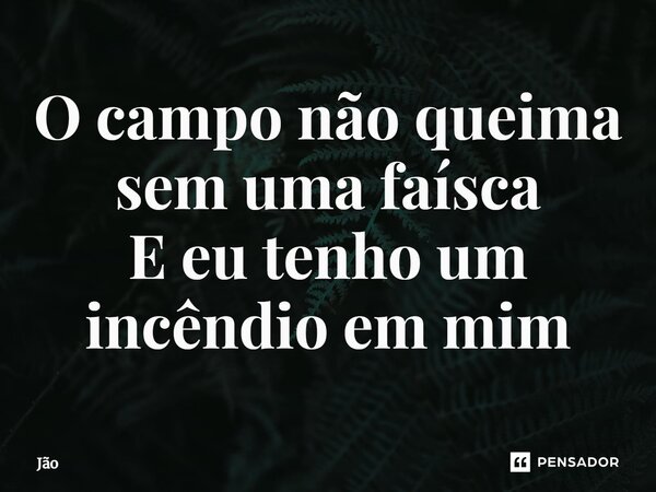 ⁠O campo não queima sem uma faísca E eu tenho um incêndio em mim... Frase de Jão.