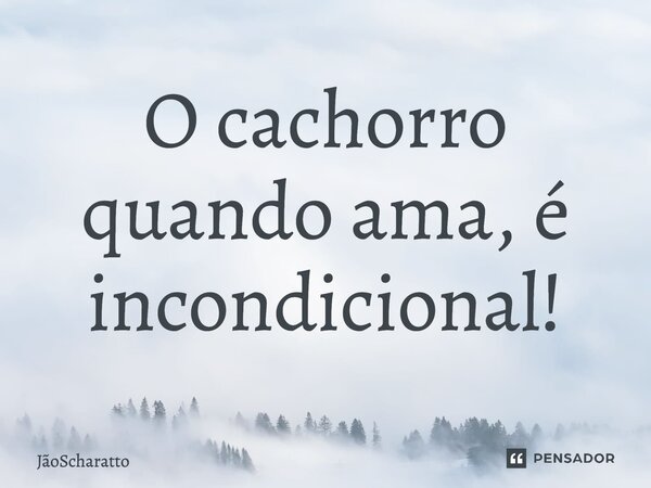 O cachorro quando ama, é incondicional!... Frase de JãoScharatto.