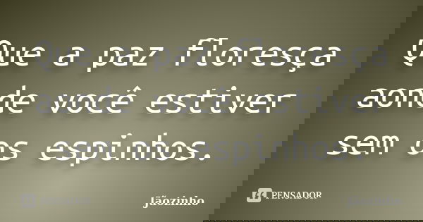 Que a paz floresça aonde você estiver sem os espinhos.... Frase de Jãozinho.