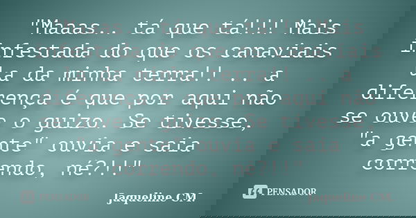 "Maaas.. tá que tá!!! Mais infestada do que os canaviais la da minha terra!! .. a diferença é que por aqui não se ouve o guizo. Se tivesse, "a gente&q... Frase de Jaqueline CM..
