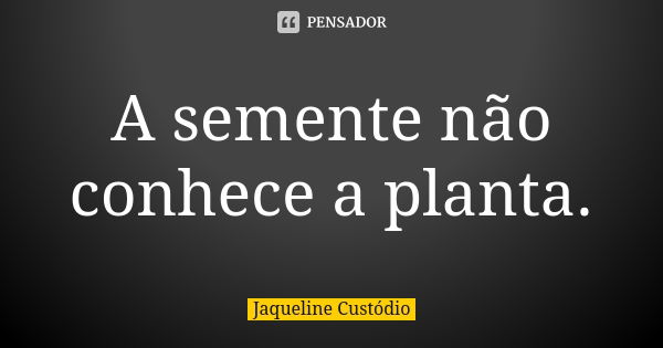 A semente não conhece a planta.... Frase de Jaqueline Custódio.