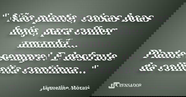 " Não plante, coisas boas hoje, para colher amanhã... Plante sempre! E desfrute da colheita continua..."... Frase de Jaqueline Morais.
