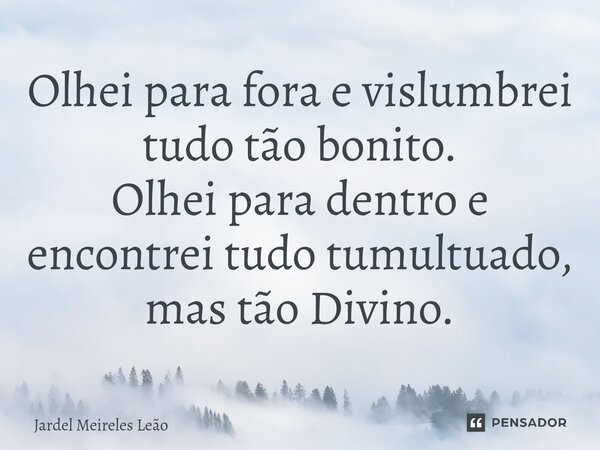 ⁠Olhei para fora e vislumbrei tudo tão bonito. Olhei para dentro e encontrei tudo tumultuado, mas tão Divino.... Frase de Jardel Meireles Leão.