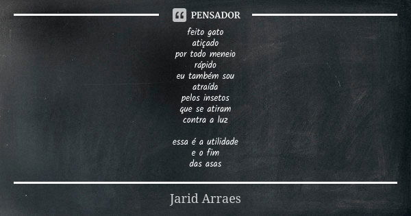 feito gato atiçado por todo meneio rápido eu também sou atraída pelos insetos que se atiram contra a luz essa é a utilidade e o fim das asas... Frase de Jarid Arraes.