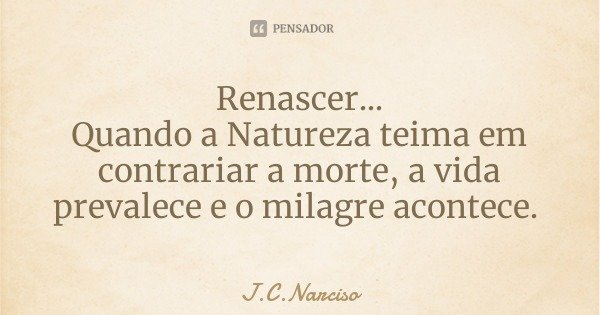 Renascer...
Quando a Natureza teima em contrariar a morte, a vida prevalece e o milagre acontece.... Frase de J.C.Narciso.