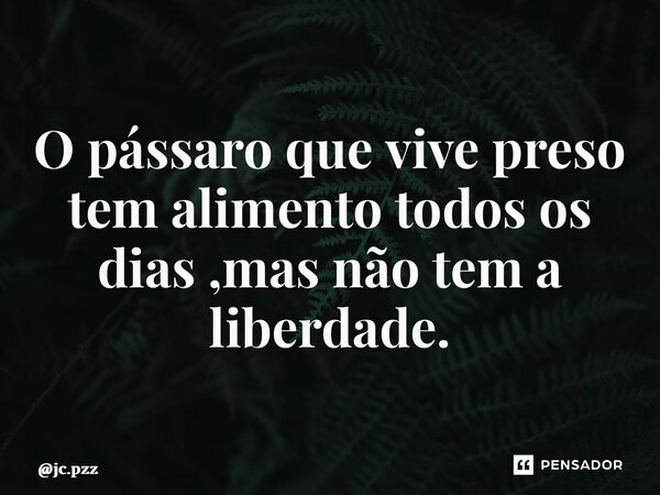 ⁠O pássaro que vive preso tem alimento todos os dias ,mas não tem a liberdade.... Frase de jc.pzz.