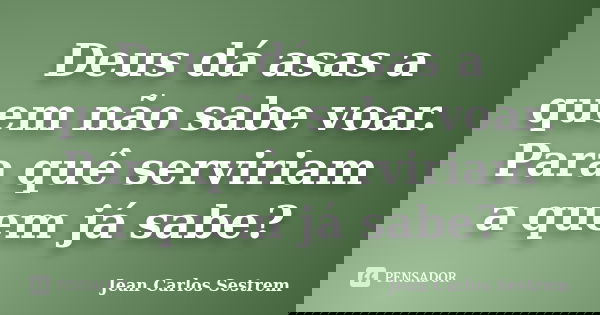 Deus dá asas a quem não sabe voar. Para quê serviriam a quem já sabe?... Frase de Jean Carlos Sestrem.