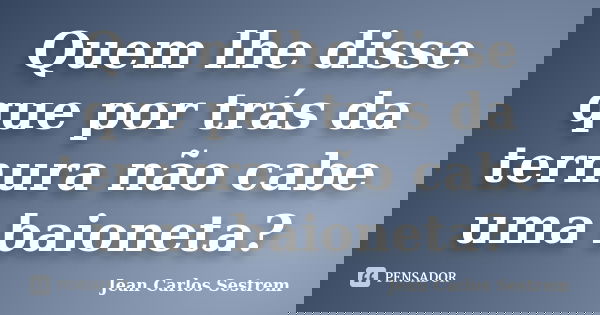 Quem lhe disse que por trás da ternura não cabe uma baioneta?... Frase de Jean Carlos Sestrem.