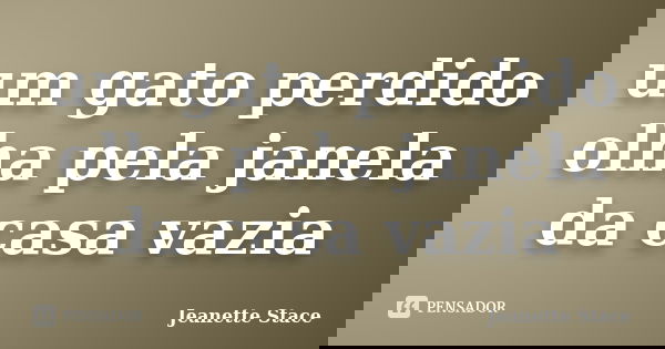 um gato perdido
olha pela janela
da casa vazia... Frase de Jeanette Stace.