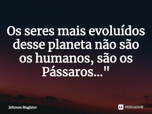 ⁠Os seres mais evoluídos desse planeta não são os humanos, são os Pássaros..."... Frase de Jeferson Magister.