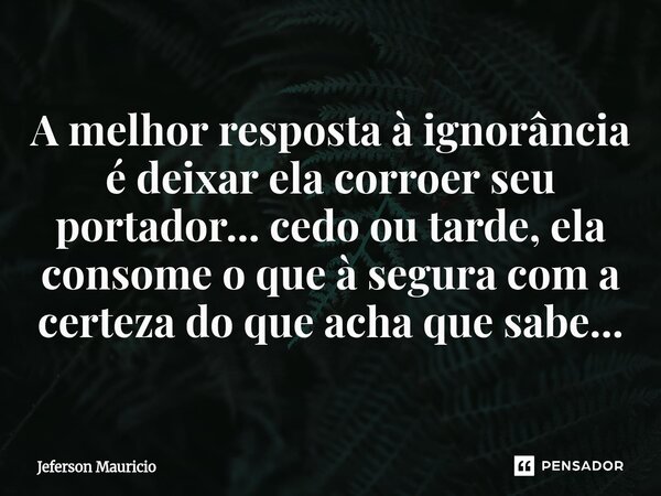⁠A melhor resposta à ignorância é deixar ela corroer seu portador... cedo ou tarde, ela consome o que à segura com a certeza do que acha que sabe...... Frase de Jeferson Mauricio.