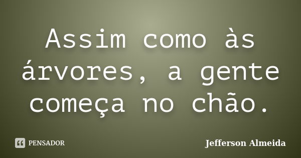 Assim como às árvores, a gente começa no chão.... Frase de Jefferson Almeida.