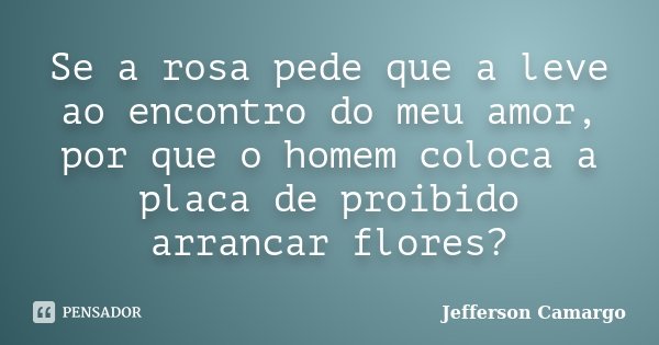 Se a rosa pede que a leve ao encontro do meu amor, por que o homem coloca a placa de proibido arrancar flores?... Frase de Jefferson Camargo.