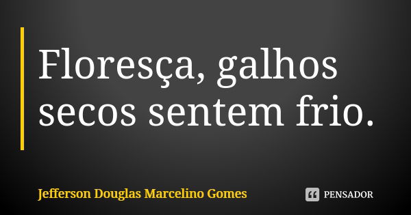 Floresça, galhos secos sentem frio.... Frase de Jefferson Douglas Marcelino Gomes.