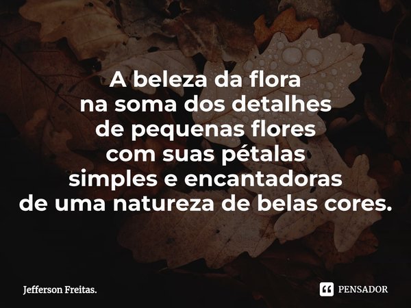 ⁠A beleza da flora na soma dos detalhes de pequenas flores com suas pétalas simples e encantadoras de uma natureza de belas cores.... Frase de Jefferson Freitas..