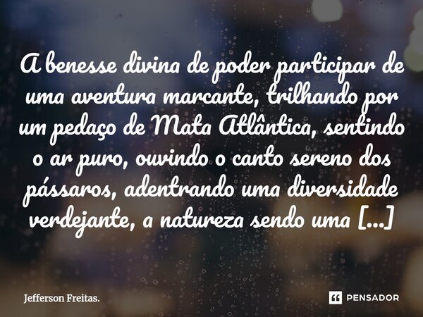 A benesse divina de poder participar de uma ⁠aventura marcante, trilhando por um pedaço de Mata Atlântica, sentindo o ar puro, ouvindo o canto sereno dos pássar... Frase de Jefferson Freitas..